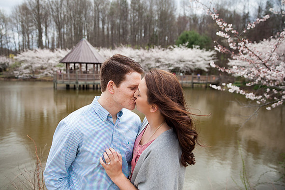 Cherry Blossoms, Proposal, Surprise, Park, Engagement, Engaged, Wedding, Photography, Photographer, Vienna, VA, Virginia