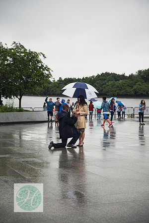Surprise Proposal ı Photos from the Harty