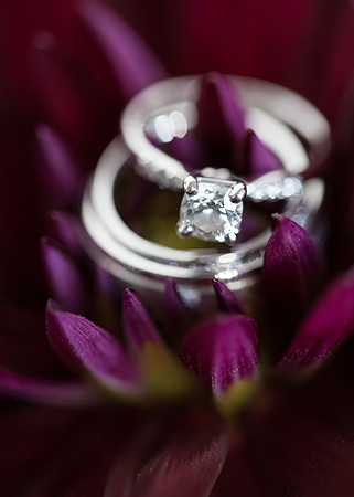 Andrew + Christie's Wedding! | Photos from the Harty