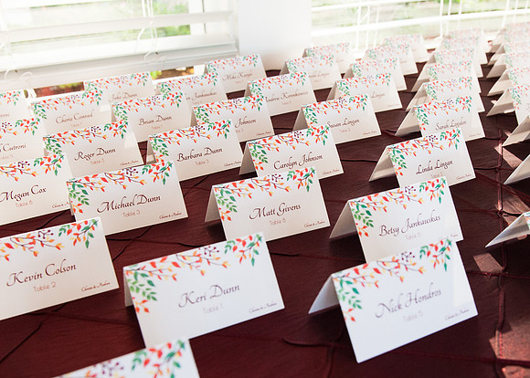 Andrew + Christie's Wedding! | Photos from the Harty