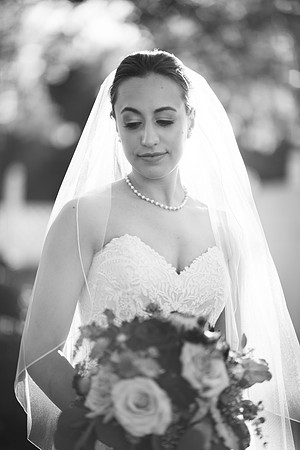Andrew + Christie's Wedding! | Photos from the Harty