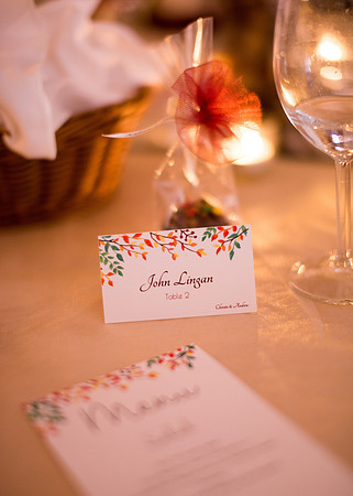 Andrew + Christie's Wedding! | Photos from the Harty