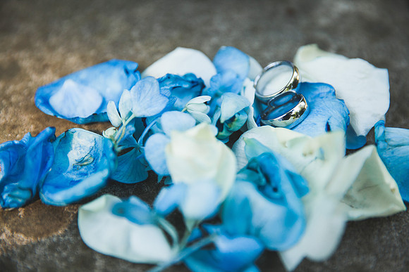 Seamus + Jared's Wedding | Photos from the Harty