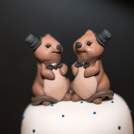 Seamus + Jared's Wedding | Photos from the Harty