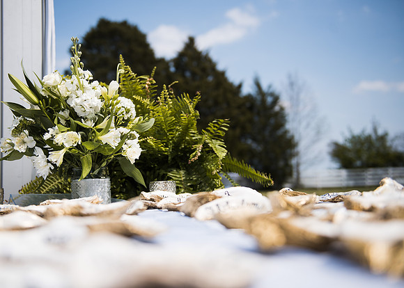 Photos from the Harty | Top Rated Professional Wedding, Event, and Lifestyle Photography in Washington, DC