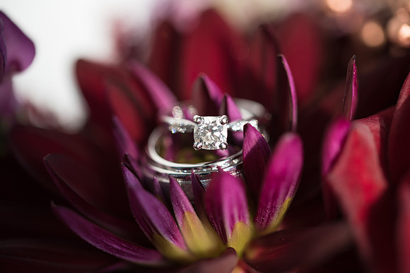 Photos from the Harty | Top Rated Professional Wedding, Event, and Lifestyle Photography in Washington, DC