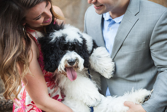 Adams Morgan and Meridian Hill Park Engagement Session | Photos from the Harty