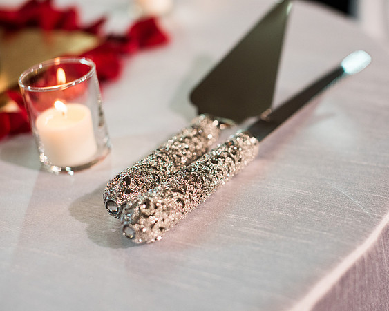 Kaitlyn + Maegan's Wedding! | Photos from the Harty