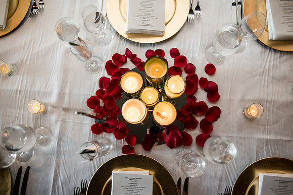 Kaitlyn + Maegan's Wedding! | Photos from the Harty