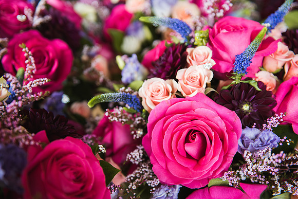 Kristine + Alan | Photos from the Harty