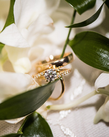 Bridget + Kevin's Wedding! | Photos from the Harty