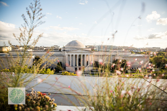 Kaitlyn + Maegan's Wedding! | Photos from the Harty