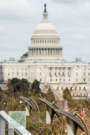 Megan + Tom's Newseum Wedding! | Photos from the Harty
