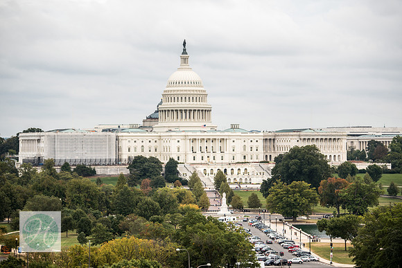 Megan + Tom's Newseum Wedding! | Photos from the Harty
