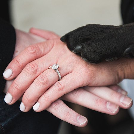 Lauren-Justin-Engagement-Photography-37