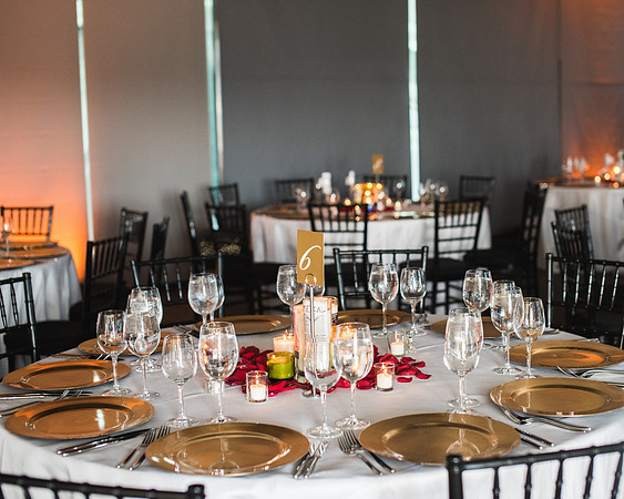 Kaitlyn + Maegan's Wedding! | Photos from the Harty