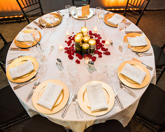 Kaitlyn + Maegan's Wedding! | Photos from the Harty