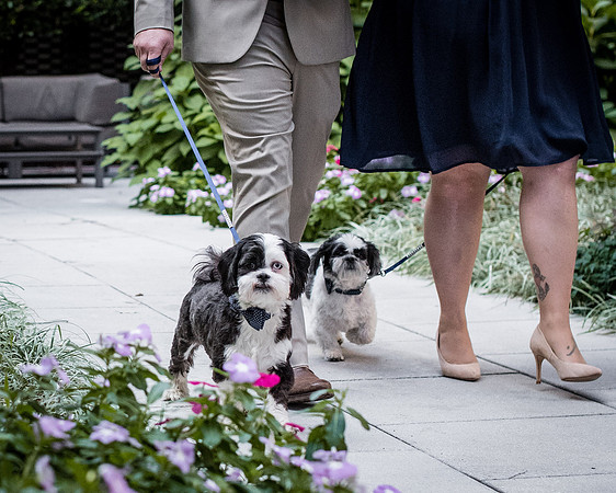 liz-katie-wedding-photos-from-the-harty-263
