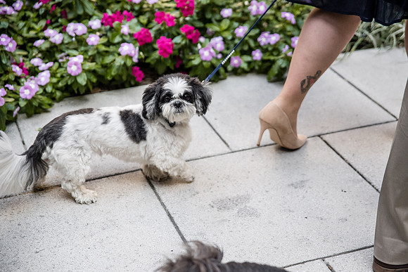 liz-katie-wedding-photos-from-the-harty-266