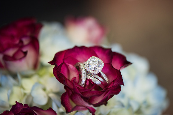 Mervis Engagement Party! | Photos from the Harty