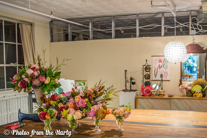 "DC Metro Area", "District Bliss", "Northern Virginia", "Photos from the Harty", "Sara Alepin", "Sara Hartenstine", "Washington DC", America, Animal, Arrange, Arranged, Arrangement, Artist, Artistic,