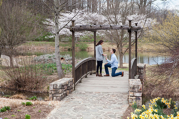 Ben + Sarah's Engagement | Photos from the Harty