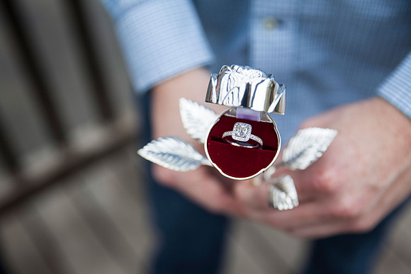 Ben + Sarah's Engagement | Photos from the Harty