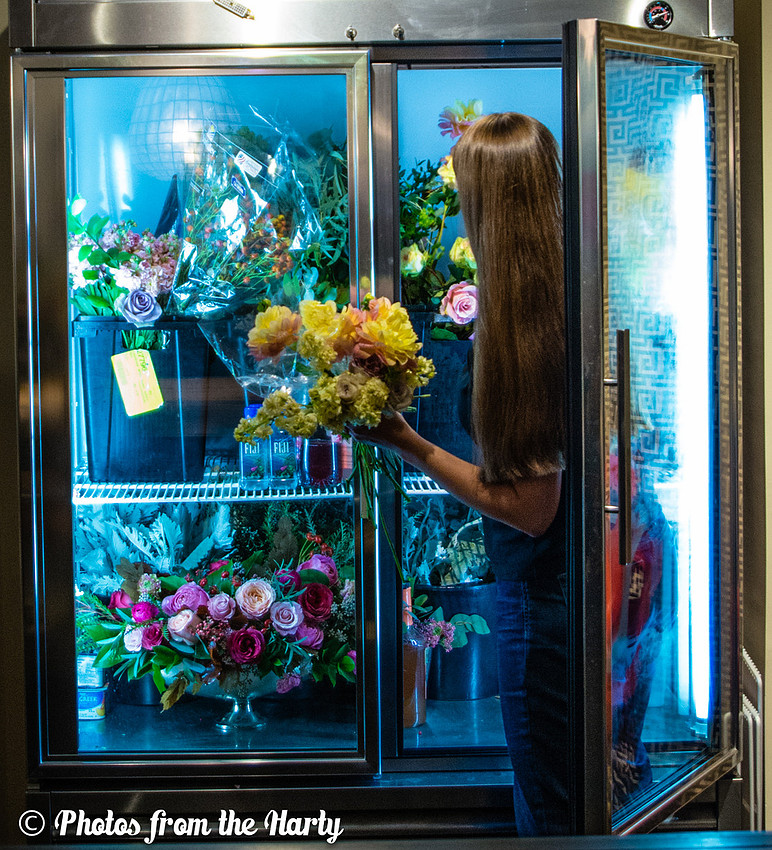 "DC Metro Area", "District Bliss", "Northern Virginia", "Photos from the Harty", "Sara Alepin", "Sara Hartenstine", "Washington DC", America, Animal, Arrange, Arranged, Arrangement, Artist, Artistic,