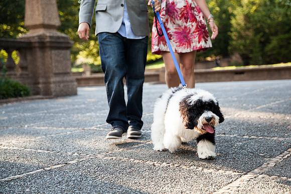 Adams Morgan and Meridian Hill Park Engagement Session | Photos from the Harty