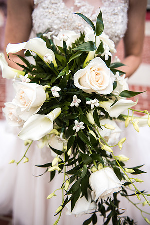 Photos from the Harty | Top Rated Professional Wedding, Event, and Lifestyle Photography in Washington, DC