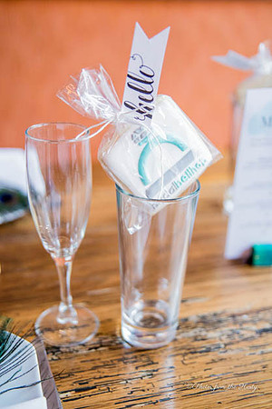 "District Bliss", "City Tap House", "Capital Society", "Bridal Bellhop, Website, Webpage, "The Knot", WeddingWire, "Marigold and Grey", Marigold, Grey, Gray, Peacock, Feather, Feathers, "Pollyanna Eve