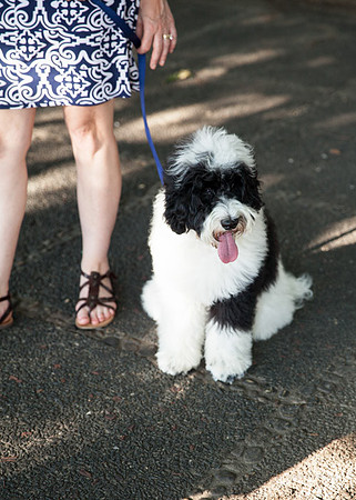 Adams Morgan and Meridian Hill Park Engagement Session | Photos from the Harty