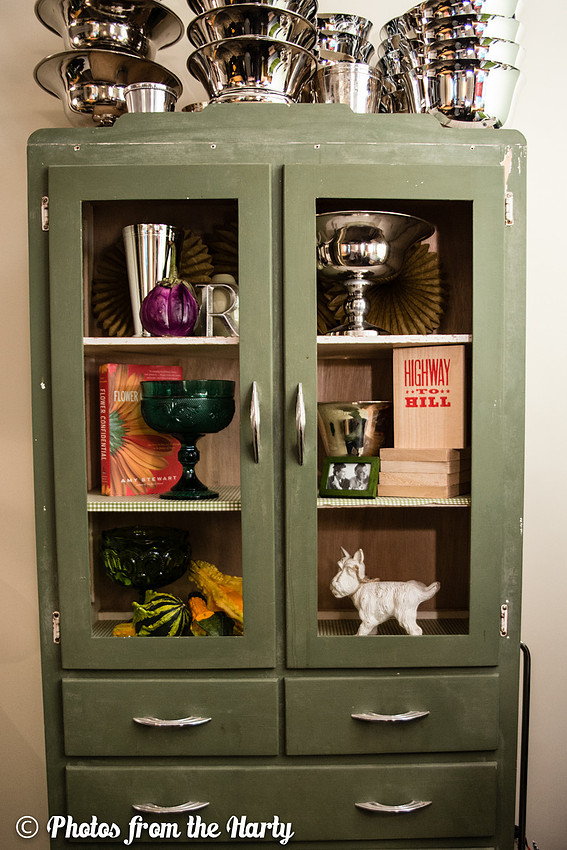 "DC Metro Area", "District Bliss", "Northern Virginia", "Photos from the Harty", "Sara Alepin", "Sara Hartenstine", "Washington DC", America, Animal, Arrange, Arranged, Arrangement, Artist, Artistic,