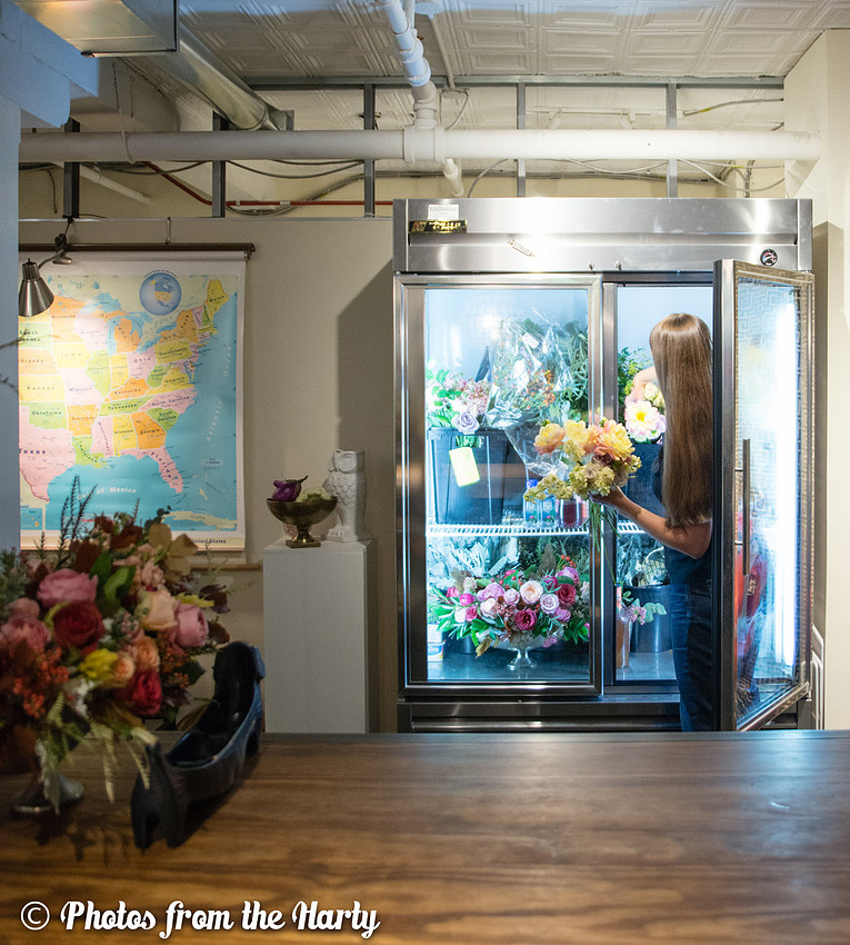"DC Metro Area", "District Bliss", "Northern Virginia", "Photos from the Harty", "Sara Alepin", "Sara Hartenstine", "Washington DC", America, Animal, Arrange, Arranged, Arrangement, Artist, Artistic,