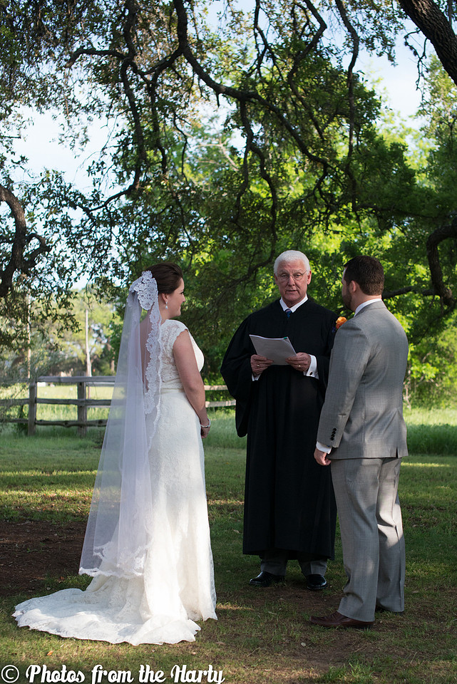Austin, Texas, TX, Chappel Lodge, Vineyard, Vineyards, outdoor, lace, lacy, gown, dress, veil, grey, gray, tux, tuxedo, flowers, tree, trees, flower, wild, silly, fun, romantic, outdoors, green, blue, white, cap sleeves, train, cocktail hour, ceremony, candle, lighting, judge, family, families, friends, friend, Texan, Texans, UT, University of Texas, college, childhood, bride, groom, wedding, marriage, bridesmaids, bridesmaid, maid of honor, matron of honor, groomsmen, best man, Sessions, Siller, sillathrilla, Mr and Mrs, reception, ceremony, aisle, flats, up-do, happy, happiness, nature, natural, wine, winery, dance, dancing, traditional, nontraditional, unity, union, wife, husband, Washington DC, DC, DC metro area, Maryland, MD, Virginia, VA, Nation's Capital, US, USA, United States, America, American, Capital, Capitol, Photographer, Photography, professional, Sara Alepin, Sara, Alepin, Hartenstine, Harty, Sara Hartenstine, Photos from the Harty