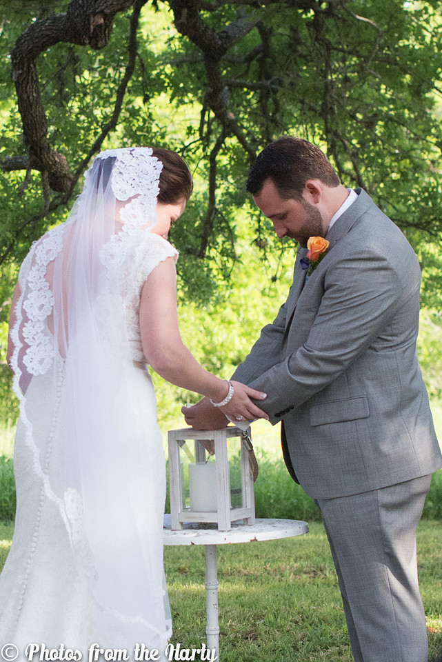 Austin, Texas, TX, Chappel Lodge, Vineyard, Vineyards, outdoor, lace, lacy, gown, dress, veil, grey, gray, tux, tuxedo, flowers, tree, trees, flower, wild, silly, fun, romantic, outdoors, green, blue, white, cap sleeves, train, cocktail hour, ceremony, candle, lighting, judge, family, families, friends, friend, Texan, Texans, UT, University of Texas, college, childhood, bride, groom, wedding, marriage, bridesmaids, bridesmaid, maid of honor, matron of honor, groomsmen, best man, Sessions, Siller, sillathrilla, Mr and Mrs, reception, ceremony, aisle, flats, up-do, happy, happiness, nature, natural, wine, winery, dance, dancing, traditional, nontraditional, unity, union, wife, husband, Washington DC, DC, DC metro area, Maryland, MD, Virginia, VA, Nation's Capital, US, USA, United States, America, American, Capital, Capitol, Photographer, Photography, professional, Sara Alepin, Sara, Alepin, Hartenstine, Harty, Sara Hartenstine, Photos from the Harty