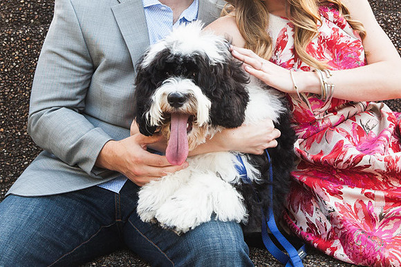 Adams Morgan and Meridian Hill Park Engagement Session | Photos from the Harty