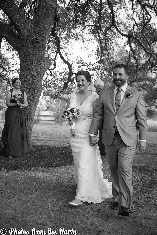 Austin, Texas, TX, Chappel Lodge, Vineyard, Vineyards, outdoor, lace, lacy, gown, dress, veil, grey, gray, tux, tuxedo, flowers, tree, trees, flower, wild, silly, fun, romantic, outdoors, green, blue, white, cap sleeves, train, cocktail hour, ceremony, candle, lighting, judge, family, families, friends, friend, Texan, Texans, UT, University of Texas, college, childhood, bride, groom, wedding, marriage, bridesmaids, bridesmaid, maid of honor, matron of honor, groomsmen, best man, Sessions, Siller, sillathrilla, Mr and Mrs, reception, ceremony, aisle, flats, up-do, happy, happiness, nature, natural, wine, winery, dance, dancing, traditional, nontraditional, unity, union, wife, husband, Washington DC, DC, DC metro area, Maryland, MD, Virginia, VA, Nation's Capital, US, USA, United States, America, American, Capital, Capitol, Photographer, Photography, professional, Sara Alepin, Sara, Alepin, Hartenstine, Harty, Sara Hartenstine, Photos from the Harty