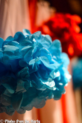 birthday, party, event, photobooth, boy, girl, celebration, play, playing, toys, pictures, decorations, decorate, handmade, celebrate, mom, dad, family, child, "dr. seuss", seuss, photography, photographer, "dress up", theme, baby, infant, evening, restaurant, homemade, incredible, details, color, colorful, "over the top", amazing, second, bday
