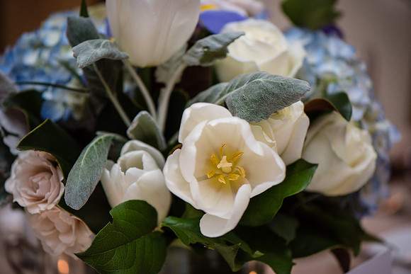 Winterborough Wedding | Photos from the Harty
