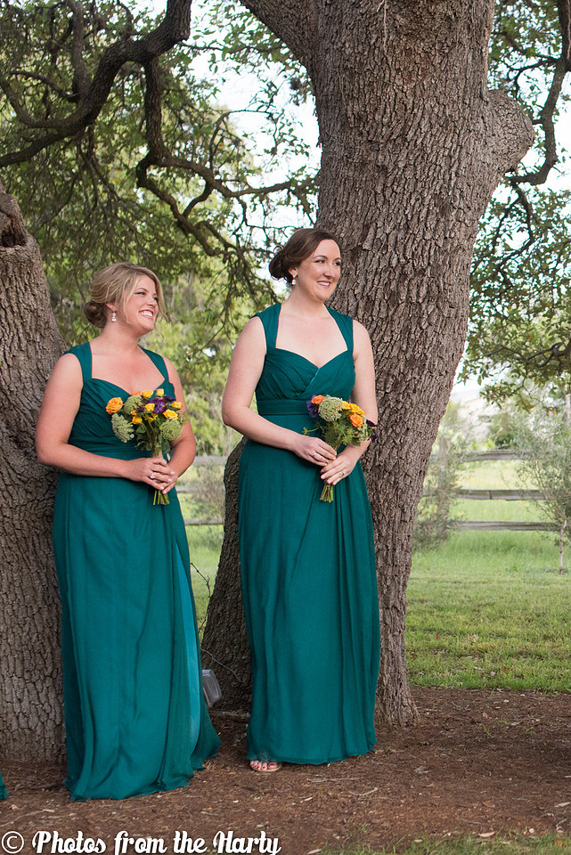 Austin, Texas, TX, Chappel Lodge, Vineyard, Vineyards, outdoor, lace, lacy, gown, dress, veil, grey, gray, tux, tuxedo, flowers, tree, trees, flower, wild, silly, fun, romantic, outdoors, green, blue, white, cap sleeves, train, cocktail hour, ceremony, candle, lighting, judge, family, families, friends, friend, Texan, Texans, UT, University of Texas, college, childhood, bride, groom, wedding, marriage, bridesmaids, bridesmaid, maid of honor, matron of honor, groomsmen, best man, Sessions, Siller, sillathrilla, Mr and Mrs, reception, ceremony, aisle, flats, up-do, happy, happiness, nature, natural, wine, winery, dance, dancing, traditional, nontraditional, unity, union, wife, husband, Washington DC, DC, DC metro area, Maryland, MD, Virginia, VA, Nation's Capital, US, USA, United States, America, American, Capital, Capitol, Photographer, Photography, professional, Sara Alepin, Sara, Alepin, Hartenstine, Harty, Sara Hartenstine, Photos from the Harty