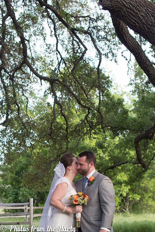 Austin, Texas, TX, Chappel Lodge, Vineyard, Vineyards, outdoor, lace, lacy, gown, dress, veil, grey, gray, tux, tuxedo, flowers, tree, trees, flower, wild, silly, fun, romantic, outdoors, green, blue, white, cap sleeves, train, cocktail hour, ceremony, candle, lighting, judge, family, families, friends, friend, Texan, Texans, UT, University of Texas, college, childhood, bride, groom, wedding, marriage, bridesmaids, bridesmaid, maid of honor, matron of honor, groomsmen, best man, Sessions, Siller, sillathrilla, Mr and Mrs, reception, ceremony, aisle, flats, up-do, happy, happiness, nature, natural, wine, winery, dance, dancing, traditional, nontraditional, unity, union, wife, husband, Washington DC, DC, DC metro area, Maryland, MD, Virginia, VA, Nation's Capital, US, USA, United States, America, American, Capital, Capitol, Photographer, Photography, professional, Sara Alepin, Sara, Alepin, Hartenstine, Harty, Sara Hartenstine, Photos from the Harty