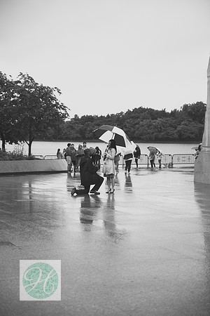 Surprise Proposal ı Photos from the Harty